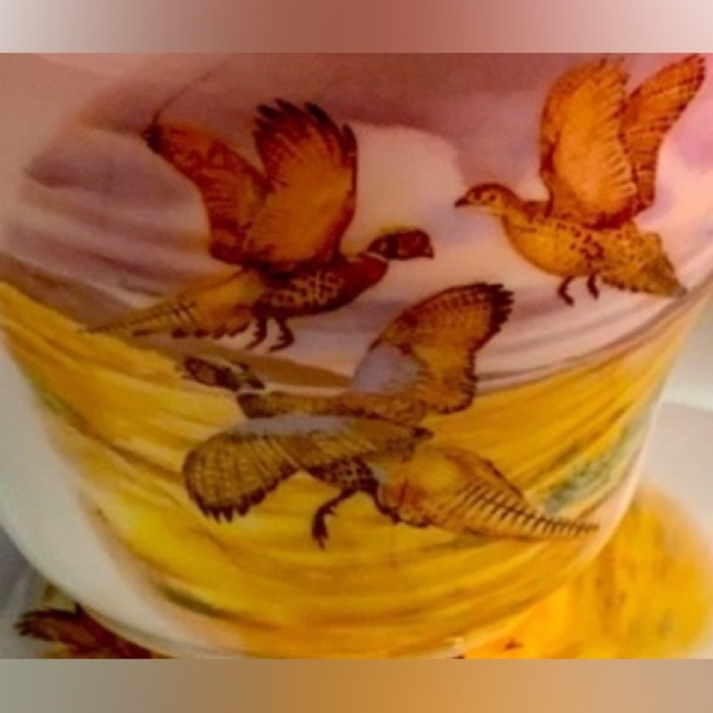 Regency, Cup & Saucer with Pheasant flying in orange evening sky. Bone China - Picture 5 of 8